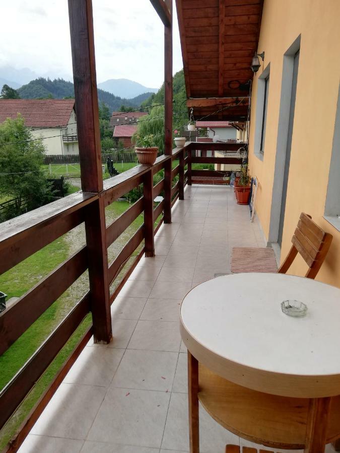 Casa Jasmin Villa Bran  Exterior photo
