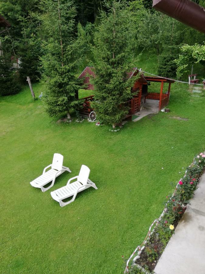 Casa Jasmin Villa Bran  Exterior photo
